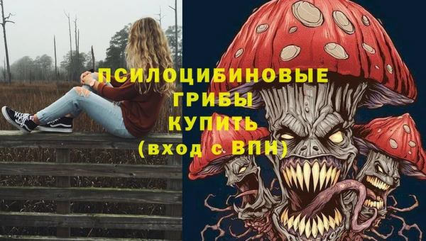 дмт Осташков
